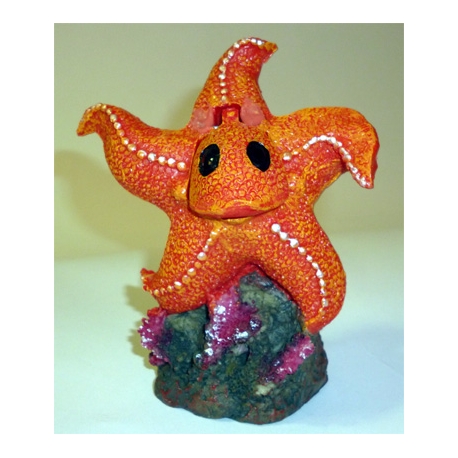 Estrella de Mar Decoración Acuarios Ref.0187
